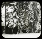 Cabin in the Snow